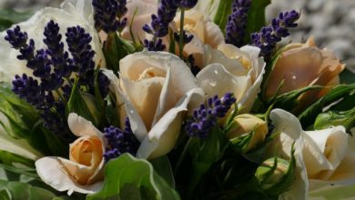 Opt for Best Flower Gifts for Your Loved Ones