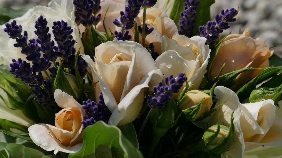 Opt for Best Flower Gifts for Your Loved Ones