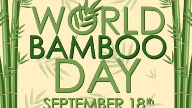 اليوم العالمي للبامبو