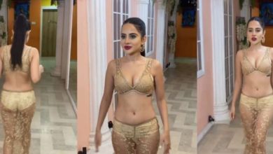 Birthday Girl Urfi Javed Takes The Internet By Storm Posting Her Bo*ld and Sexy Pictures