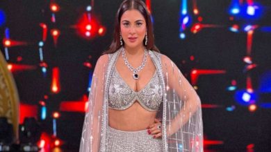 Diwali 2022: Shraddha Arya Grabs Attention By Her Bo*ld Sequined Saree Pictures