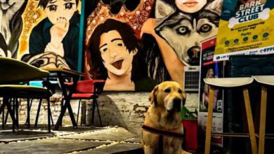 شارع بارك ، أول مقهى صديق للحيوانات الأليفة في نويدا!