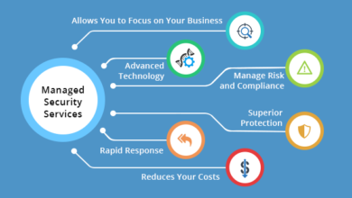 Managed Security Services Market Growth, Business Boosting Strategies, Development Forecast to 2025