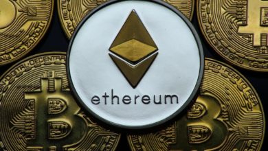 Ethereum: An Efficient Digital Currency and Software Program Platform