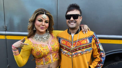 Happy Birthday Rakhi Sawant: Here's How Much Indian Model Net Worth In 2022