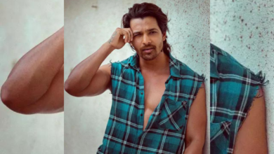 Harshvardhan Rane Tattoo Meaning- Read to Know Mo
