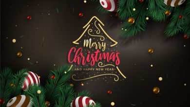 Greet Your Friends, Colleagues, and Family This Merry Christmas 2022: Via these Wishes, Sayings, HD Images, Quotes, WhatsApp Texts and HD Wallpaper