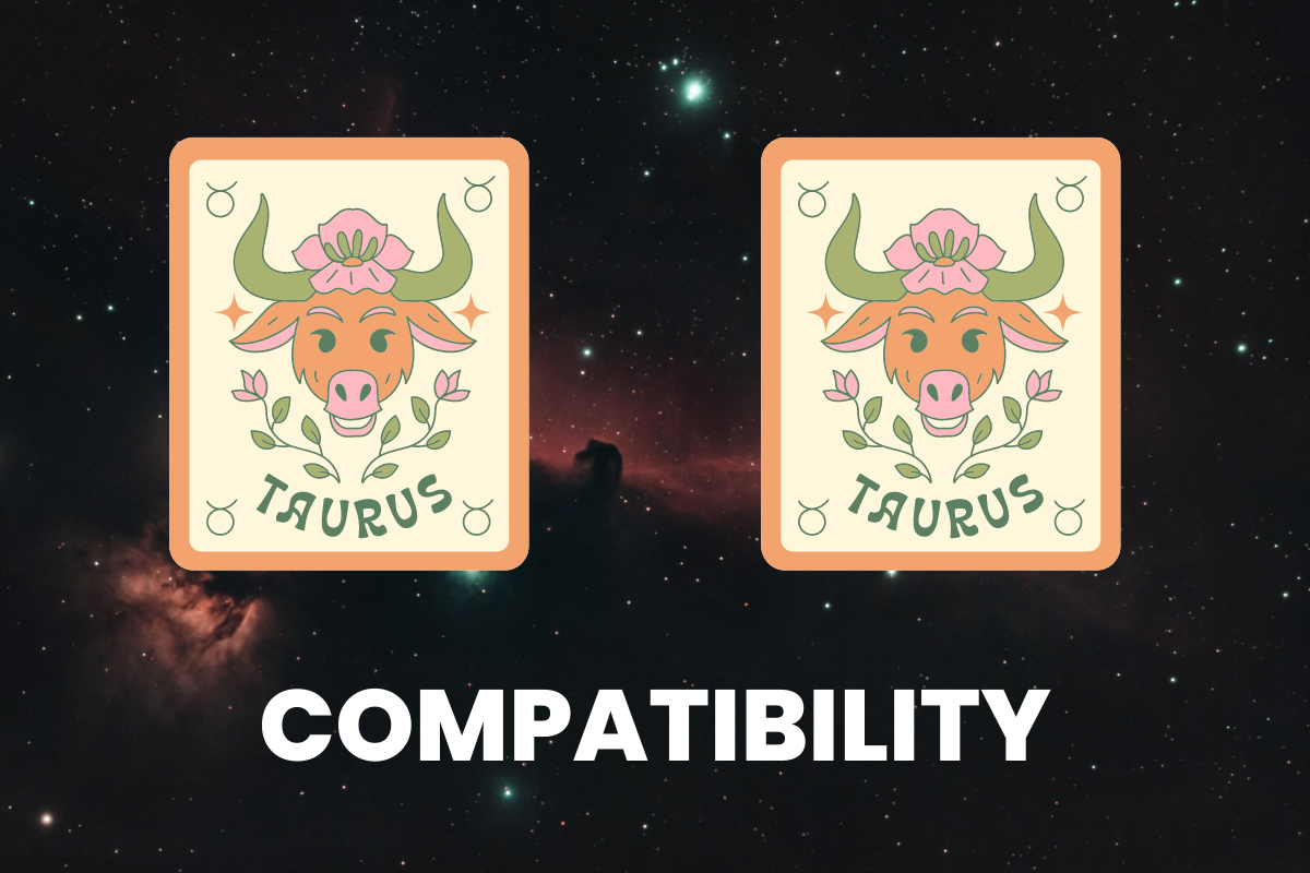 Taurus and Taurus Compatibility Percentage: Friendship, Love, Marriage, and Sexual Predictions for 2023
