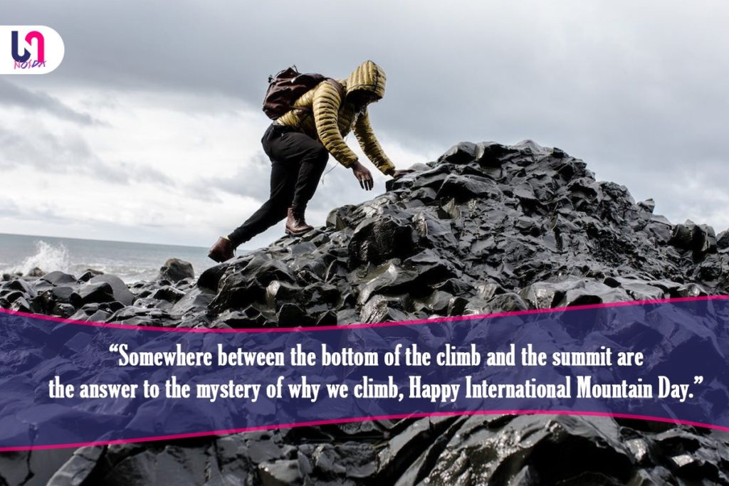 International Mountain Day Quotes