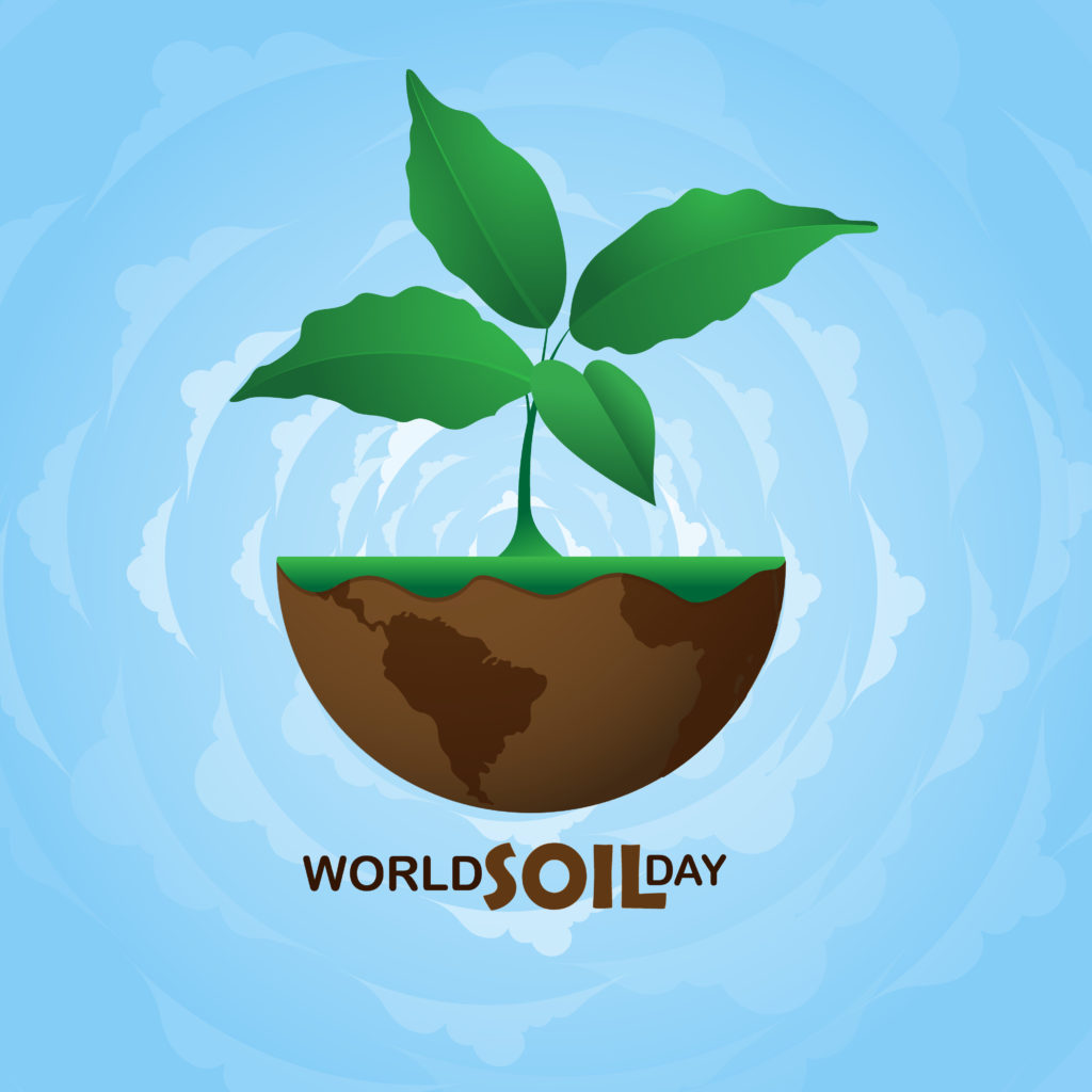 يوم التربة العالم