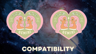 Gemini and Gemini Compatibility Percentage