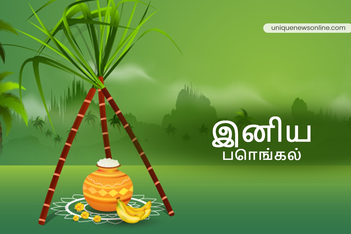 Pongal 2023 Images