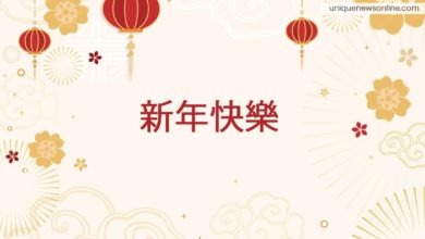 Chinese New Year 2023 Best Mandarian Greetings, Wishes, Quotes, Slogans, Sayings, Images, and Messages to Greet Your Friends and Family