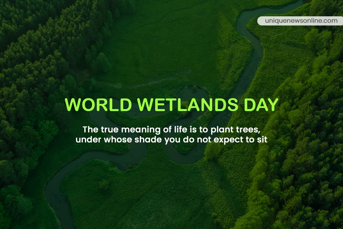 World Wetlands Day  Drawings and Images