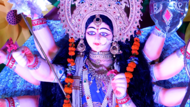 Happy Chaitra Navratri 2023: 30+ Best Whatsapp Status Videos to Download for Free