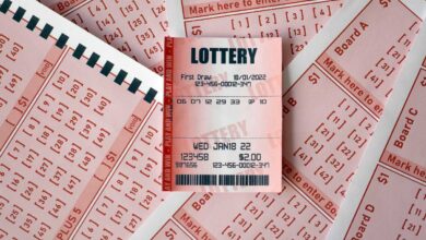 Kerala State Lottery Nirmal NR-319 Results Today, First Prize ₹70 Lakh