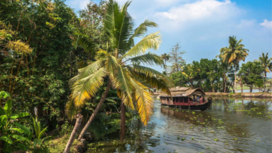 Unique Places to visit in Kerala to Get Memories for a Lifetime