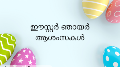 Happy Easter 2023 Malayalam Sayings, Greetings, Wishes, Messages, Images, and Quotes
