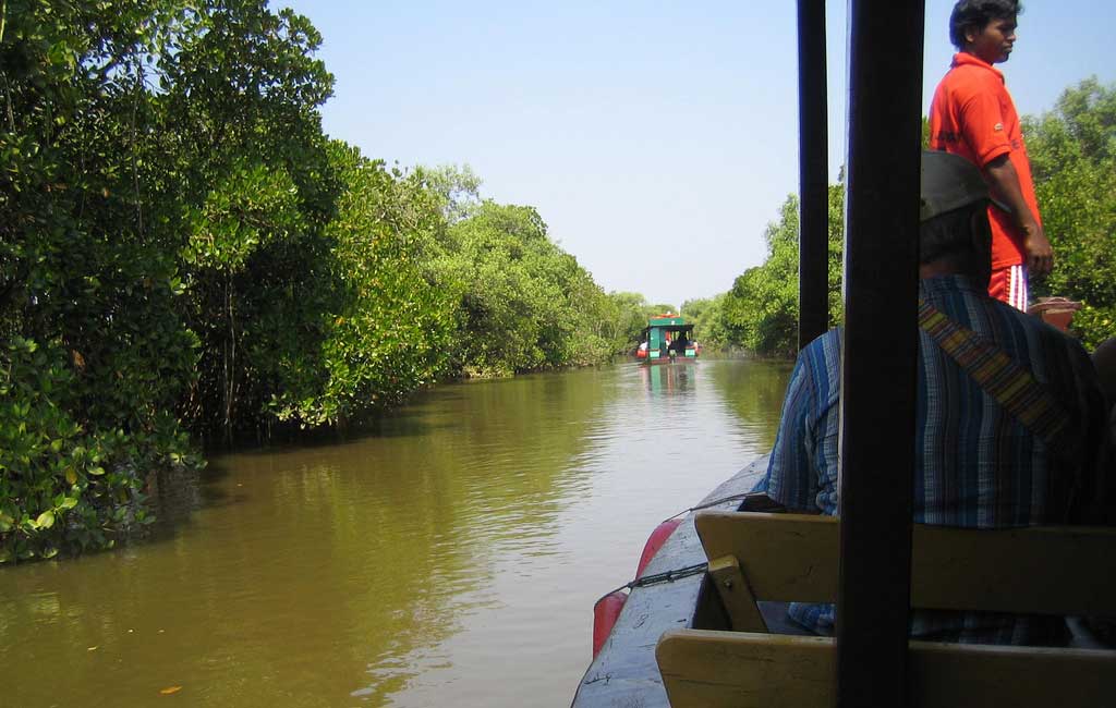 Cumbarjua Canal
