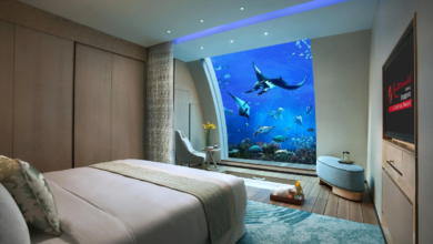 No Luggage or Passport Will Be Required To Travel in 2070! Underwater Hotels Welcoming You!