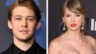 Taylor Swift and Joe Alwyn: Broke Up Or Secretly Married? Fans Are In Turmoil!