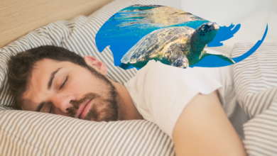 Dream about Turtles - What Does It Mean, Read To Know