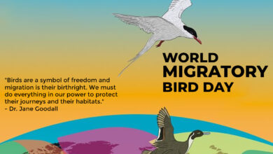 World Migratory Bird Day 2023 Theme, Images, Quotes, Wishes, Messages, Posters, Greetings, Sayings, Stickers, Banners, Instagram Captions, and Other Social Media Posts