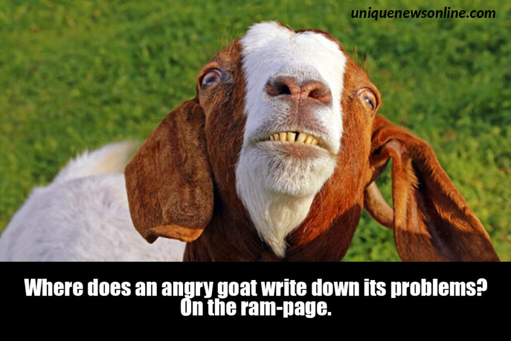 How do you make a goat laugh?

You tell it a kid-der!