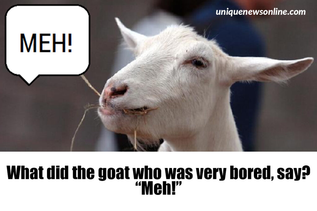 Why do goats make bad detectives?

Because they always have a-goat alibis!