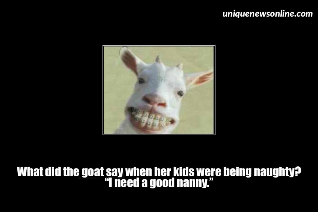 What did the goat say when her kids were being naughty? "I need a good nanny."