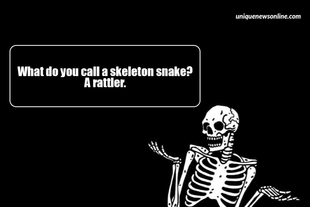 Why did the skeleton go to the concert alone?

He didn’t have a soul to go with him!