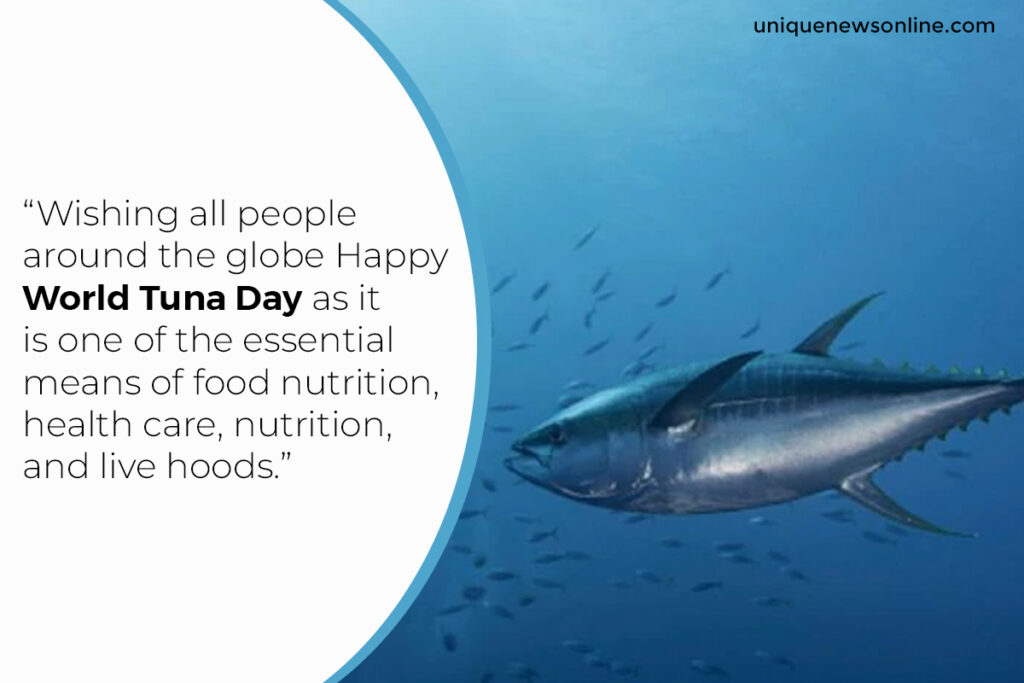 World Tuna Day 2023