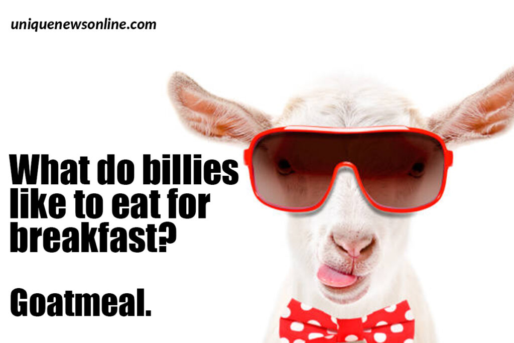 What's a goat's favorite breakfast?

Wheat-ies!