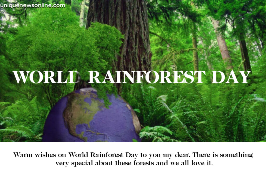 World Rainforest Day 2023