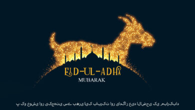 Eid Ul-Adha 2023: 30+ Bakrid Mubarak WhatsApp Status Video to Download For Free