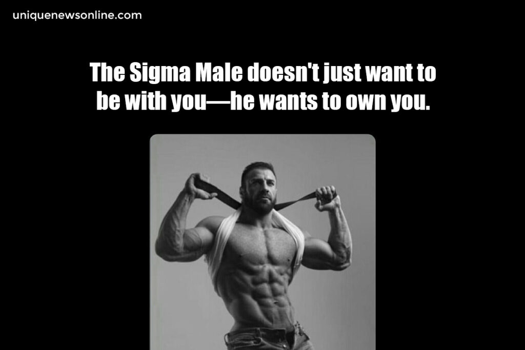 "The Sigma Male doesn't just want to ber with you - he wants to own you."