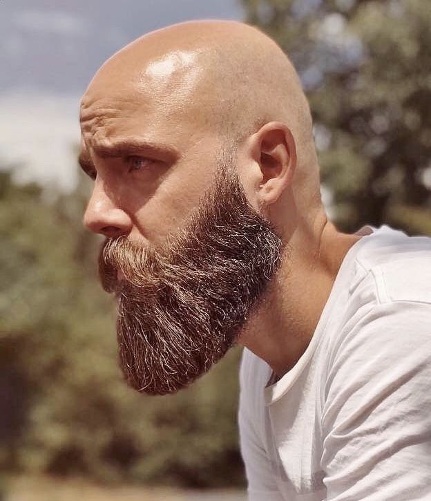 Pointy Beard for Bald Men