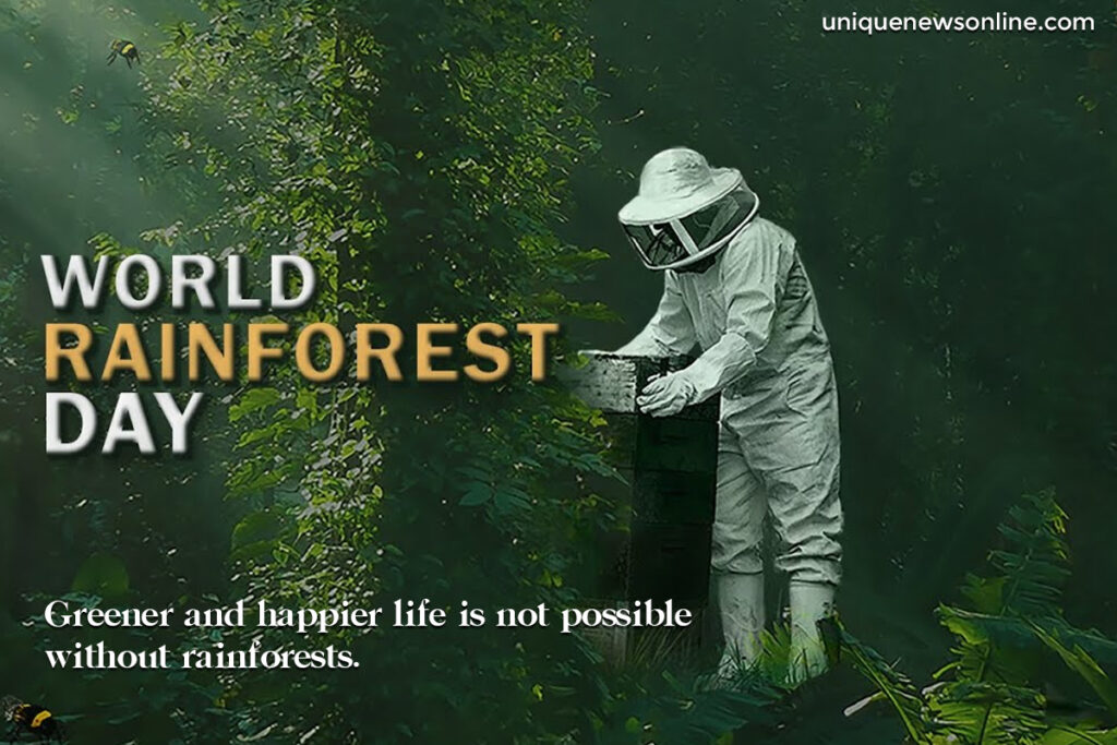 World Rainforest Day Images