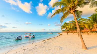 Caribbean Paradise: A Cruise Through the Sun-Kissed Islands