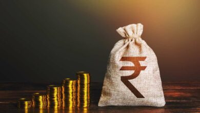 Primary factors influencing India's Economy