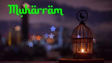 Muharram 2023: Islamic Hijri New Year 1445, 30+ Best WhatsApp Status Videos to Download for Free