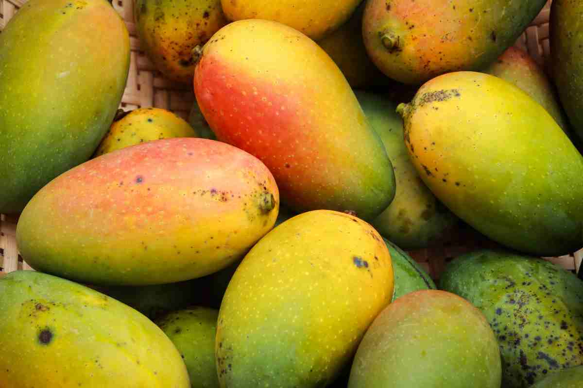 National Mango Day 2023: Current Theme, Quotes, Wishes, Messages, Greetings, Sayings, Posters, Banners, and Shayari