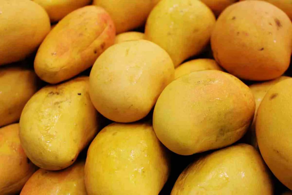 National Mango Day 2023 