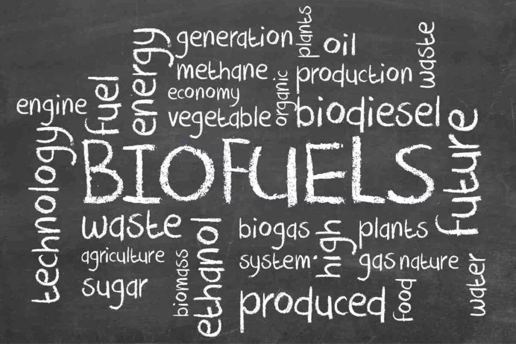 World Biofuel Day Images