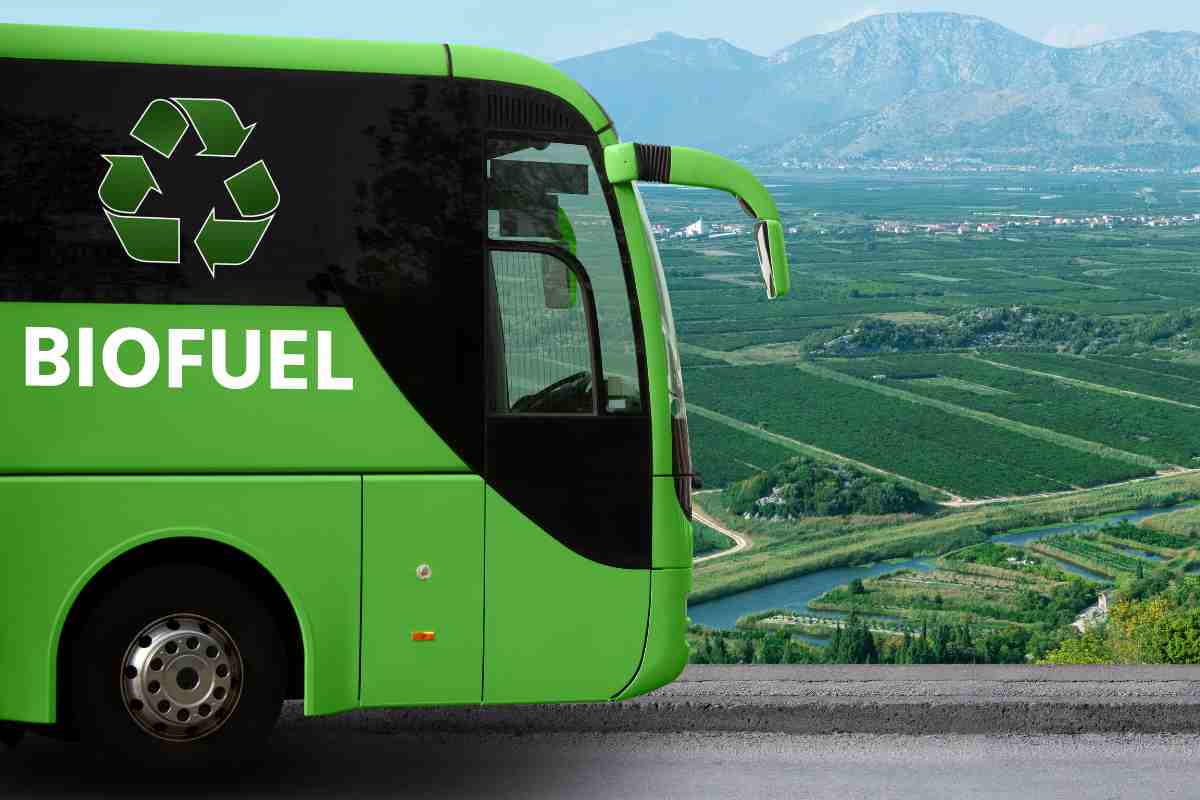 World Biofuel Day 2023: Current Theme, Quotes, Images, Messages, Posters, Banners, Drawings, Slogans, Wishes and Sayings