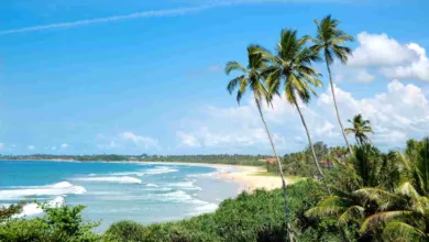 9 Top Indian Beaches for a Memorable Holiday