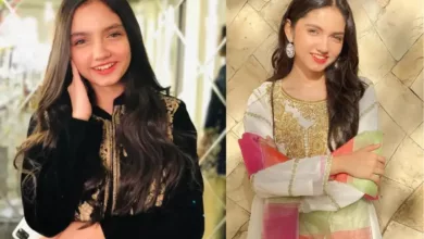 Aina Asif, a Pakistani actress swimming pool video goes viral on Telegram, Reddit and Twitter