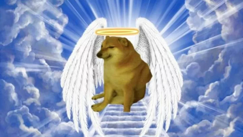 Is Cheems Dog Dead? What Happened To The Viral Doge Meme Dog? How Did Shiba Inu Dog Die?