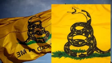 Gadsden Flag Controversy Sparked as Video of Vanguard School Official Slammed Student for Bringing Flag To School Went Viral
