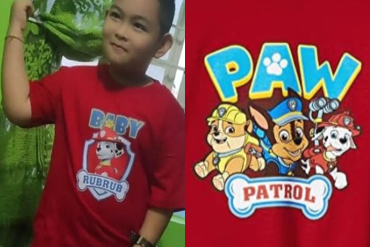 WATCH: Paw Patrol Kid Video with Babysitter goes viral on Twitter, Telegram and Reddit